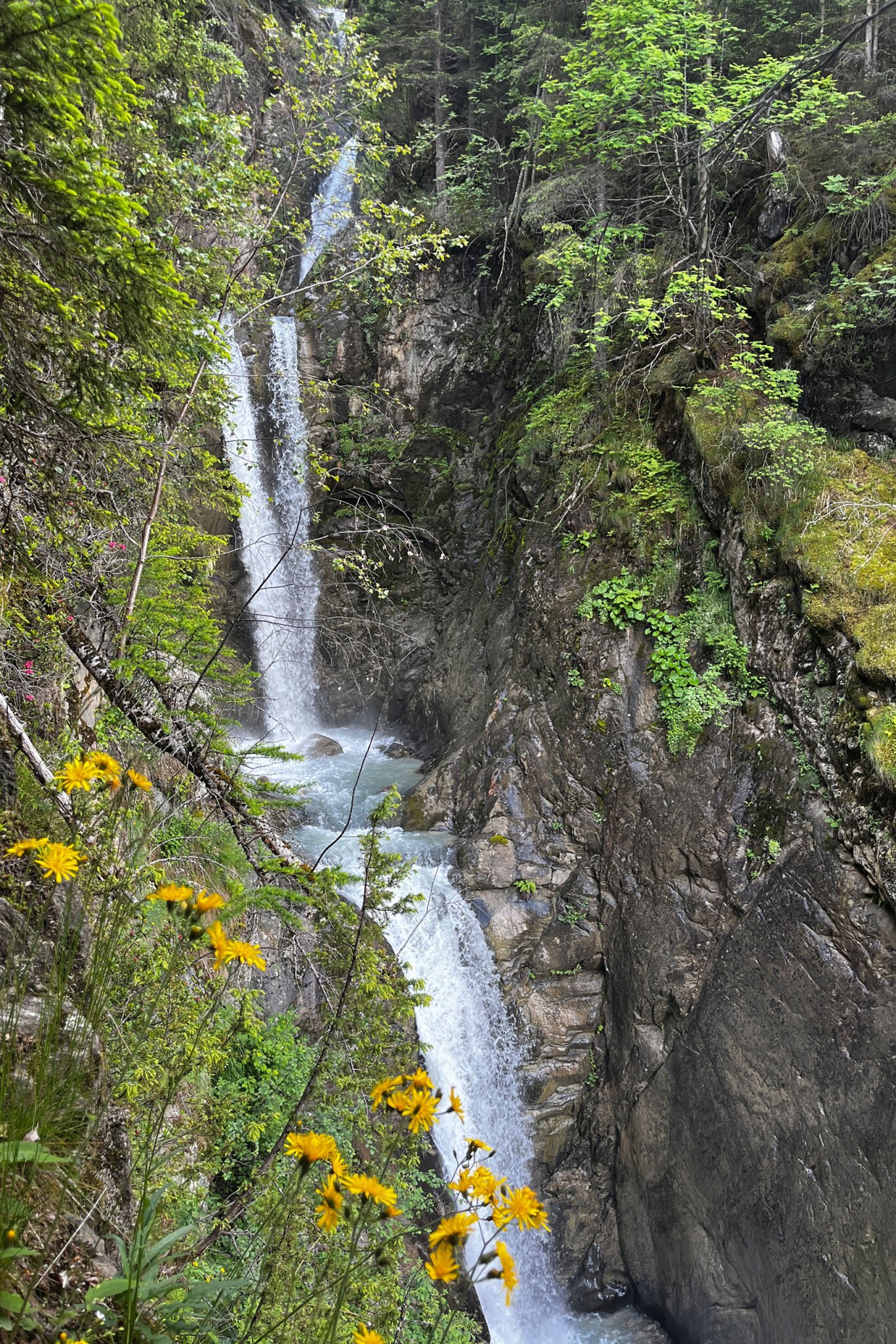 2 semaines à Chamonix le guide des randonnées Nomade etc — free download