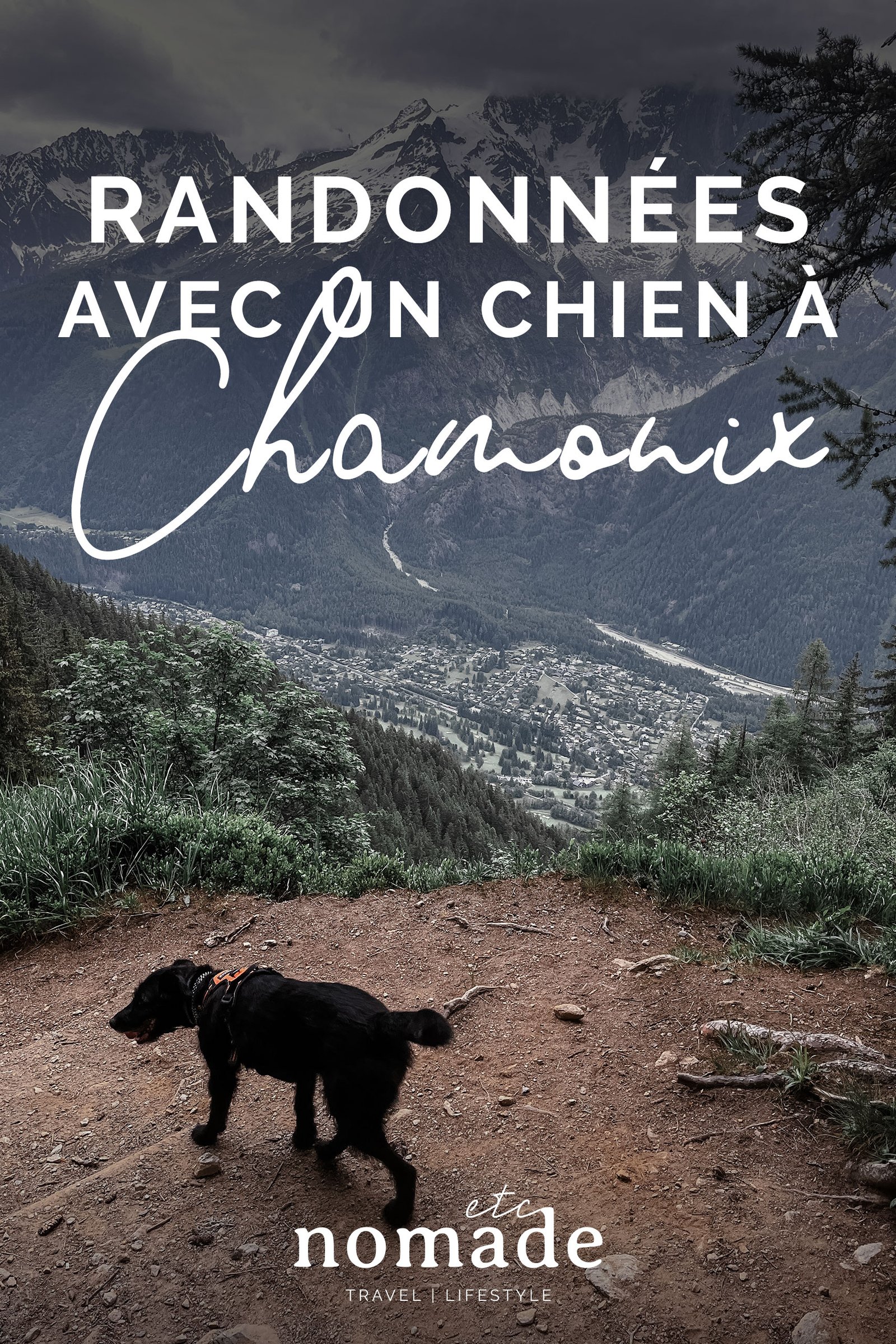 Randonnées avec un chien à Chamonix