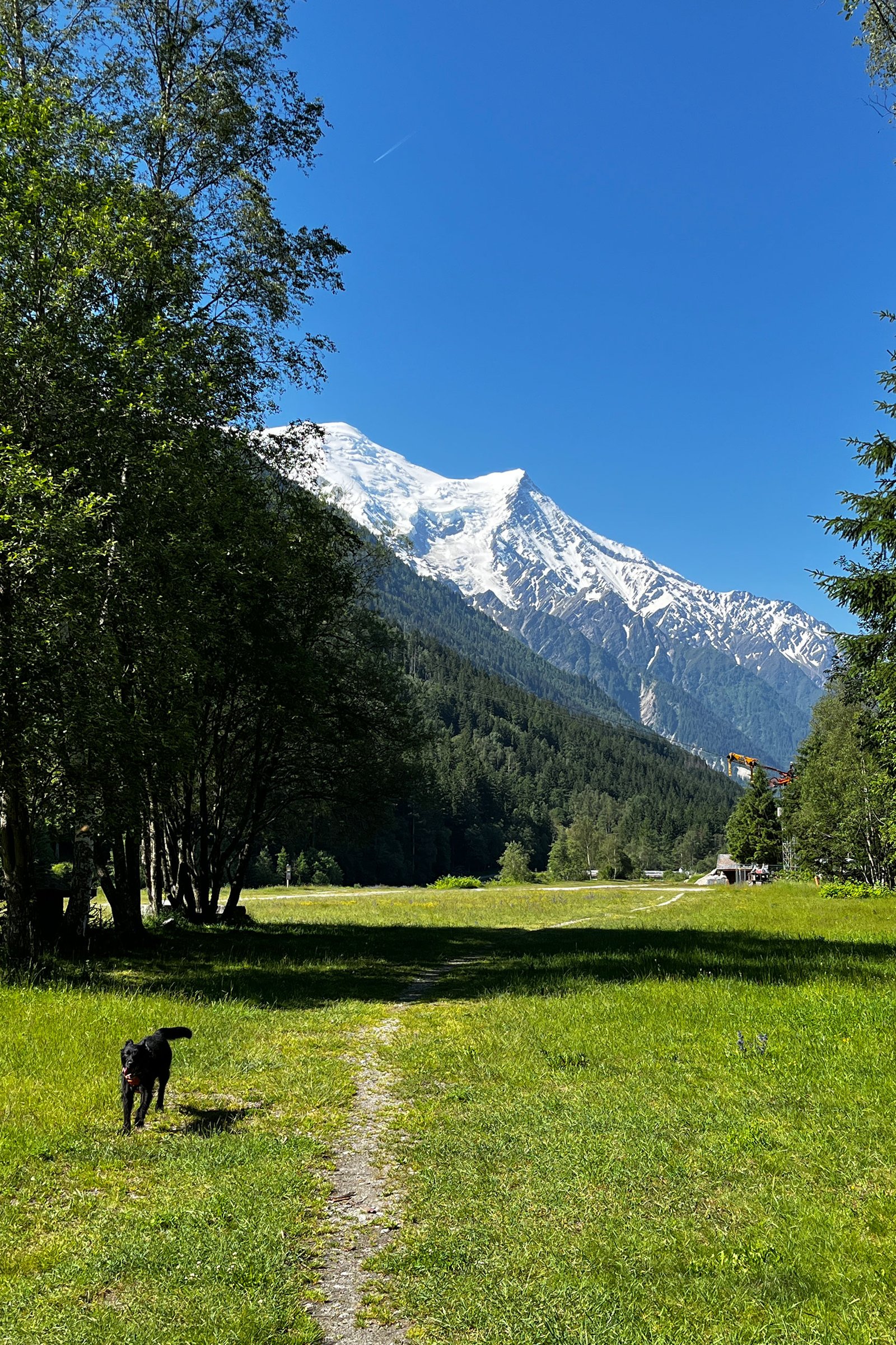 Sources de l'Arveyron Chamonix