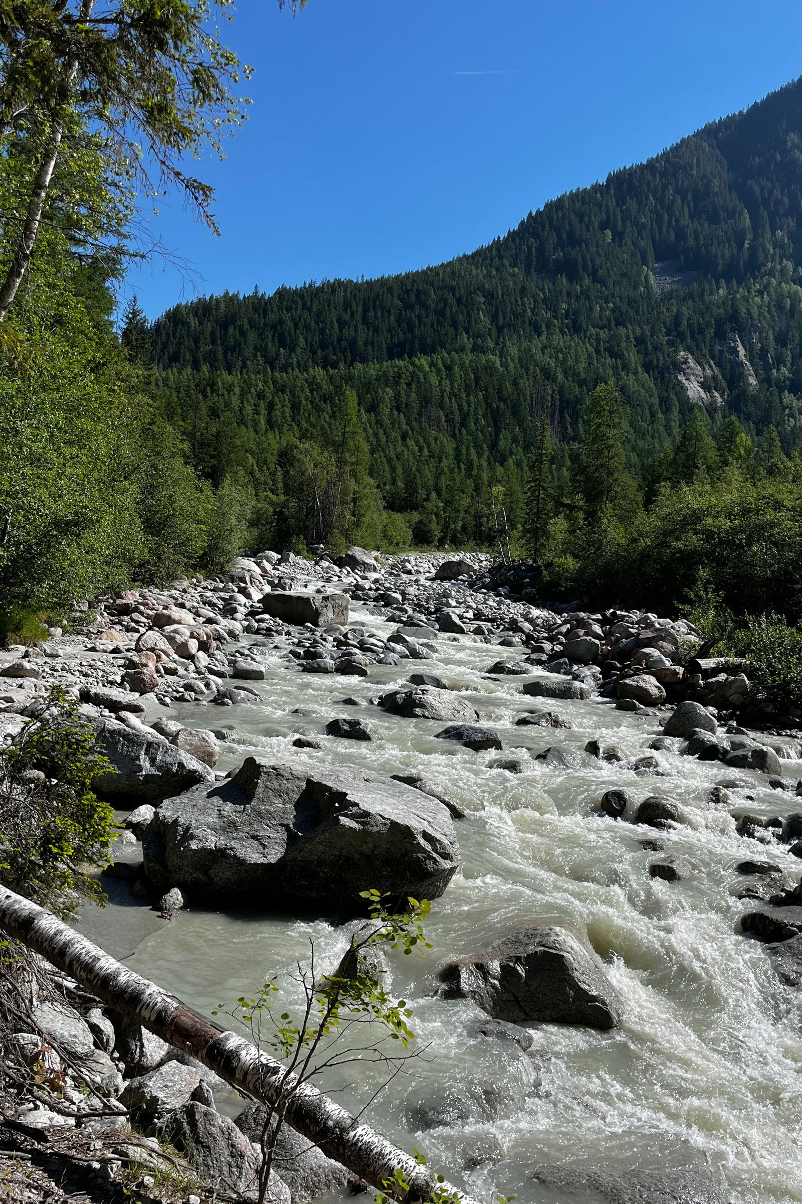 Sources de l'Arveyron Chamonix